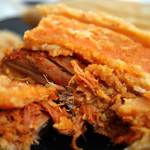 Pork Tamale